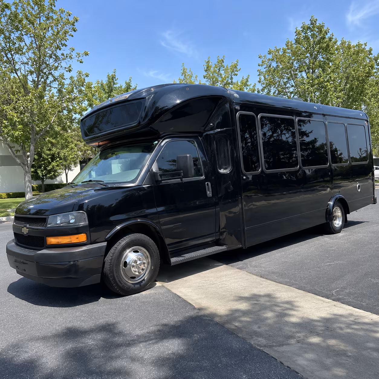 ypsilanti 15 passenger party bus